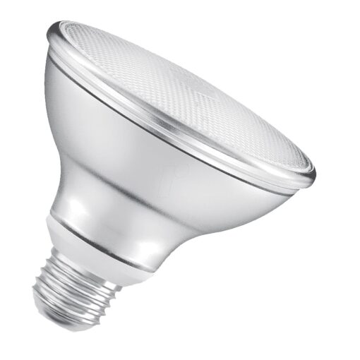 VRA012 - 10W E27 PAR30 Dimlenebilir Ampul